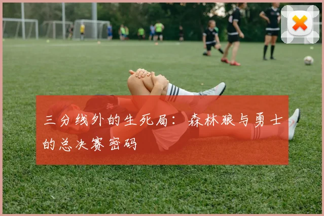三分线外的生死局：森林狼与勇士的总决赛密码