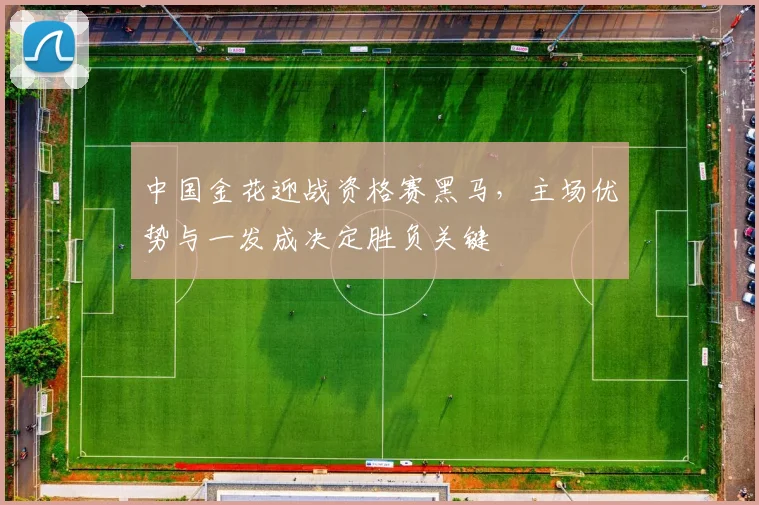 中国金花迎战资格赛黑马，主场优势与一发成决定胜负关键