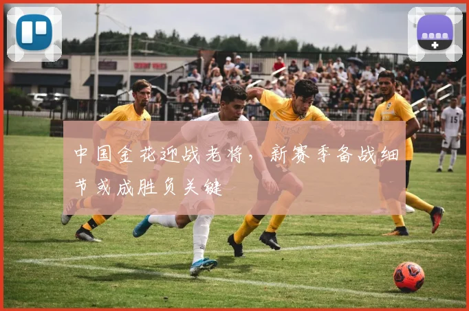 中国金花迎战老将，新赛季备战细节或成胜负关键