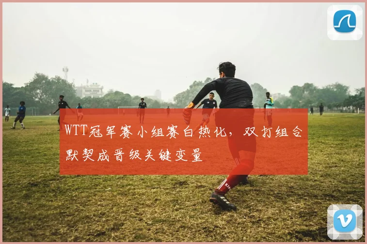 WTT冠军赛小组赛白热化，双打组合默契成晋级关键变量
