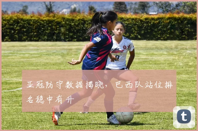 亚冠防守数据揭晓，巴西队站位排名稳中有升