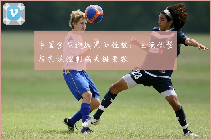 中国金花迎战黑马强敌，主场优势与失误控制成关键变数